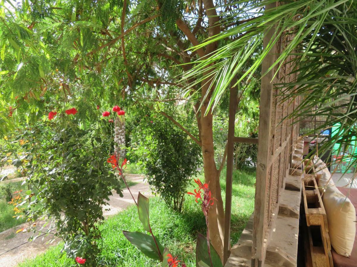 Ibis Tlemcen Hotel Екстериор снимка